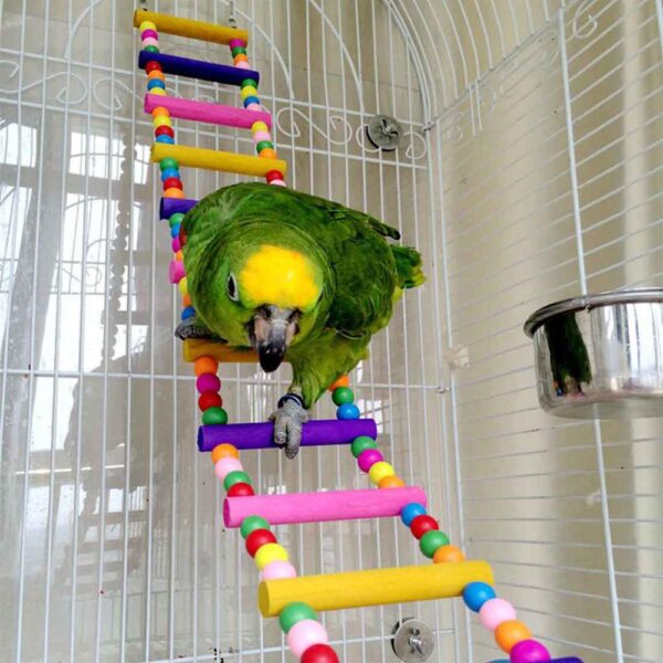 10 Packs Bird Swing Chewing Toys Parrot Hammock Bell Toys Parrot Cage Toy Bird Perch with Wood Beads Hanging for Small Parakeets